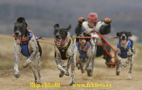 Bakonybel - 0228.JPG